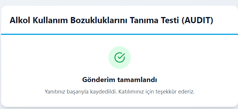 Public form başarılı gönderim
