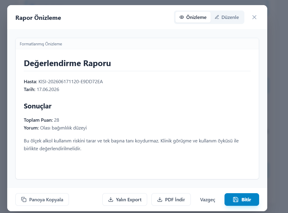 Rapor önizleme